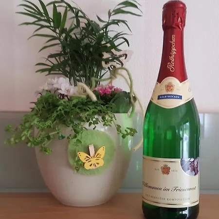 In Mit Grill, Terrasse Und Garten Norden